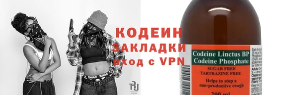 стаф Верея