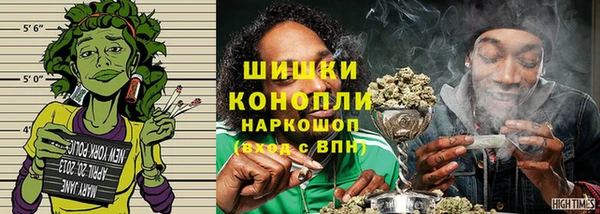 стаф Верея